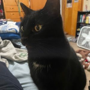 Meet your Posher, Addy